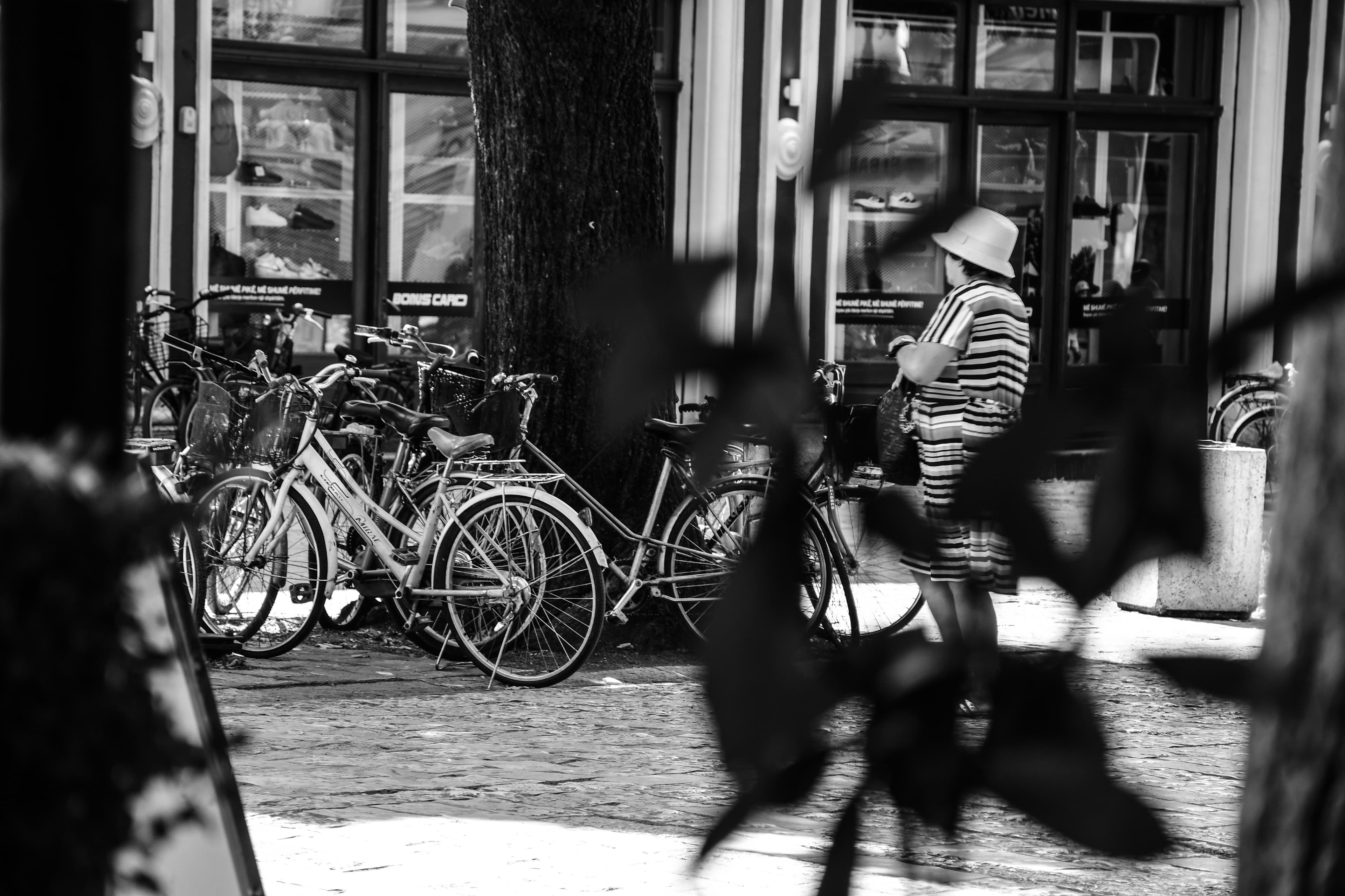Urban Silhouette & Bicycles