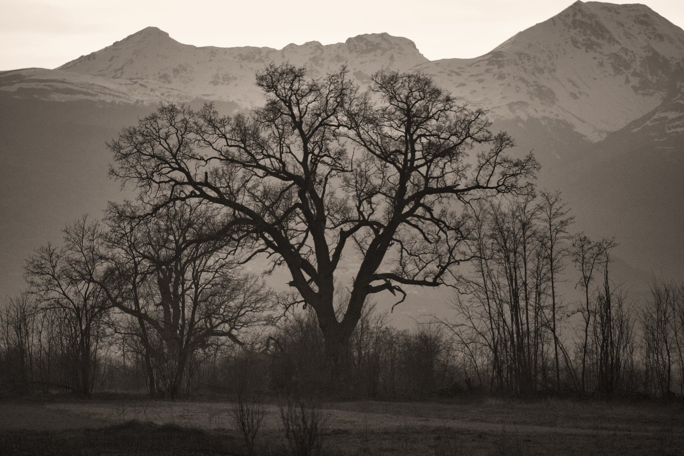 Atmospheric Divide